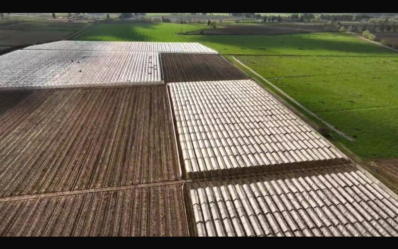 Toma aérea de cultivos con praderas verdes